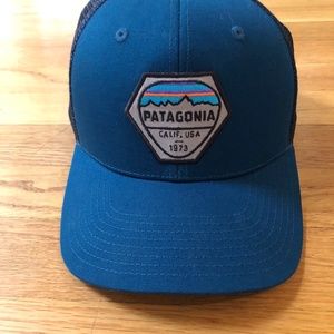 Patagonia Fitz Roy Hex Trucker Hat